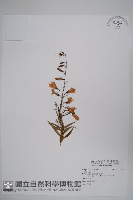 登錄號:S124706藏品圖，第1張