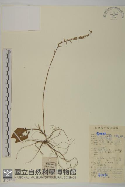 香鬼督郵藏品圖，第1張