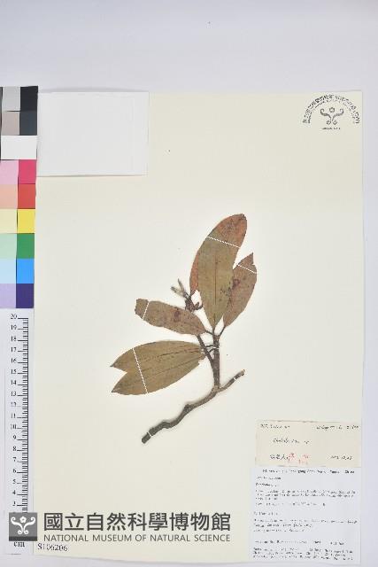 登錄號:S106206藏品圖，第1張