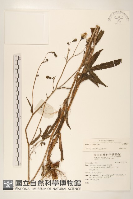 登錄號:S137206藏品圖，第1張