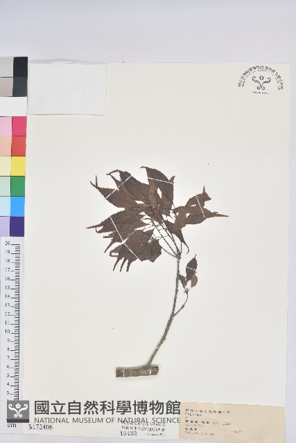 登錄號:S172406藏品圖，第1張