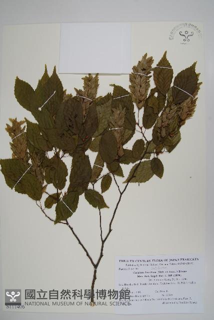 登錄號:S111406藏品圖，第1張