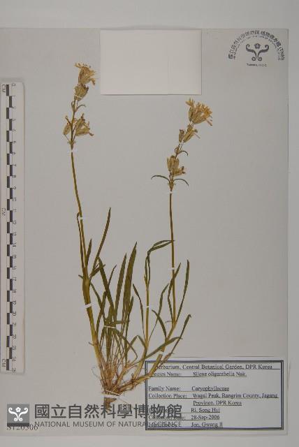 登錄號:S120306藏品圖，第1張