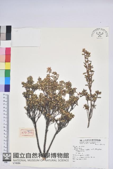 登錄號:S074306藏品圖，第1張