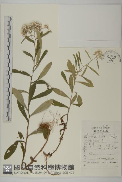 香青藏品圖，第1張