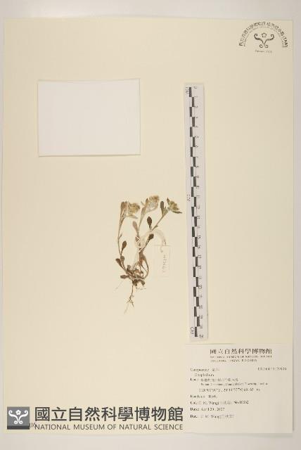 登錄號:S124906藏品圖，第1張