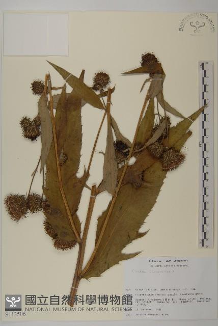 登錄號:S113506藏品圖，第1張