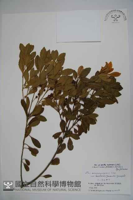 登錄號:S051216藏品圖，第1張