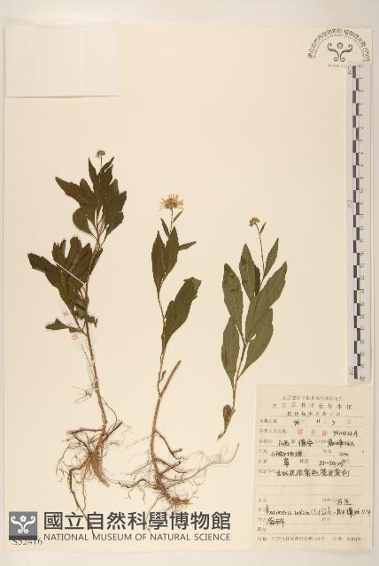 雞兒腸藏品圖，第1張