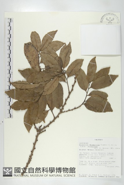 登錄號:S097116藏品圖，第1張
