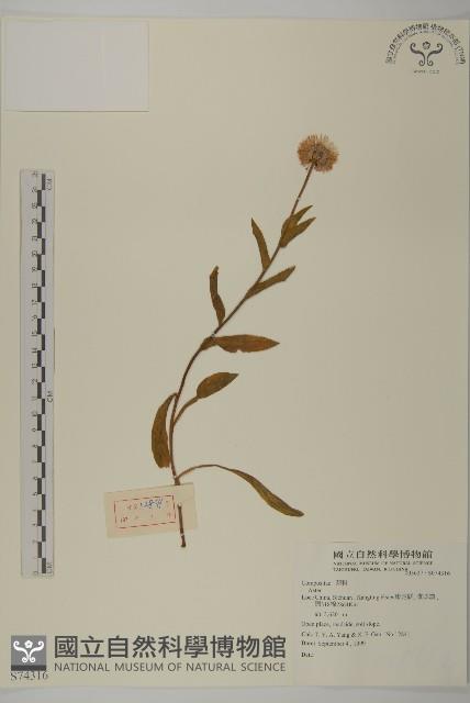 登錄號:S074316藏品圖，第1張