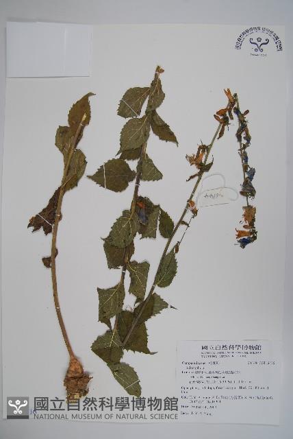 登錄號:S116816藏品圖，第1張