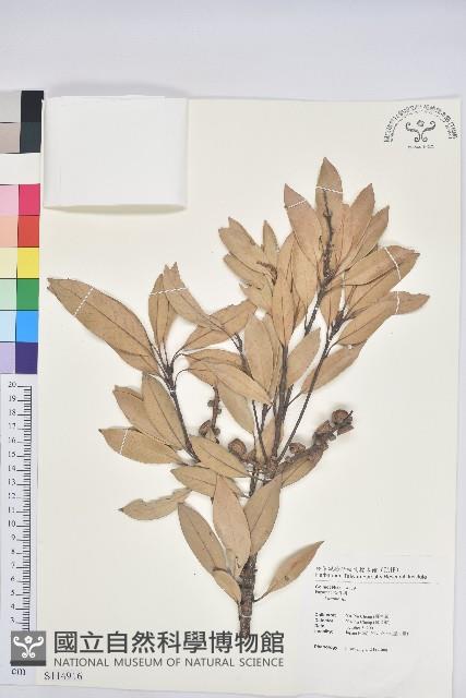 登錄號:S114916藏品圖，第1張