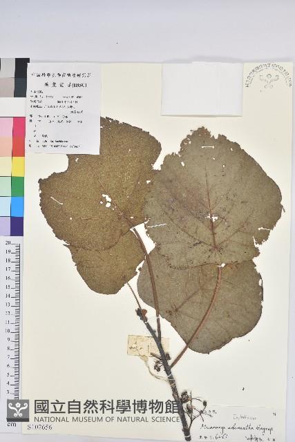 登錄號:S102656藏品圖，第1張