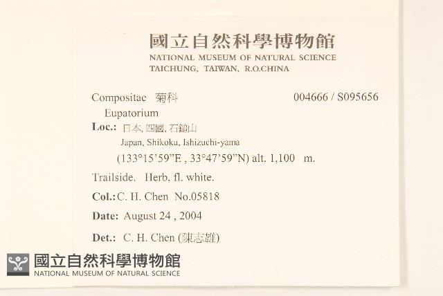 登錄號:S095656藏品圖，第1張