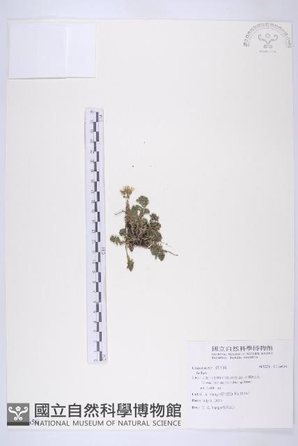 登錄號:S114656藏品圖，第1張