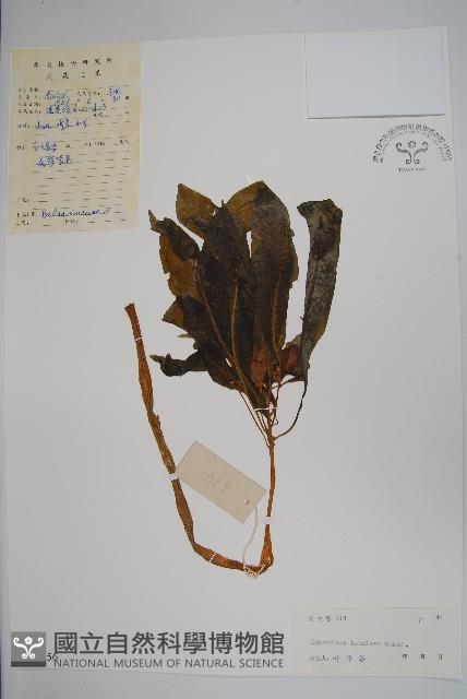 登錄號:S044656藏品圖，第1張