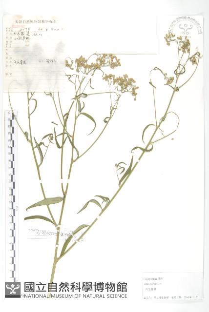 登錄號:S105056藏品圖，第1張