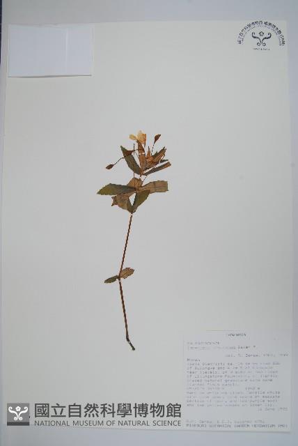 登錄號:S094056藏品圖，第1張