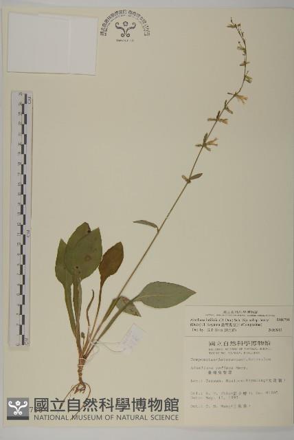 臺灣鬼督郵藏品圖，第1張