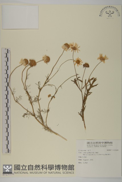 登錄號:S123256藏品圖，第1張