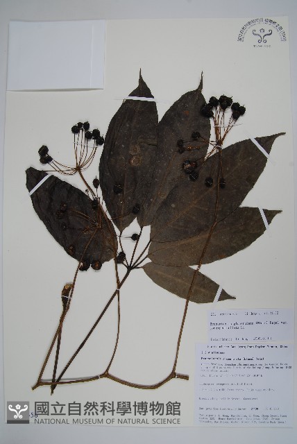 登錄號:S106356藏品圖，第1張