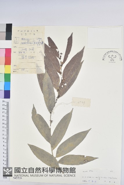 登錄號:S045356藏品圖，第1張