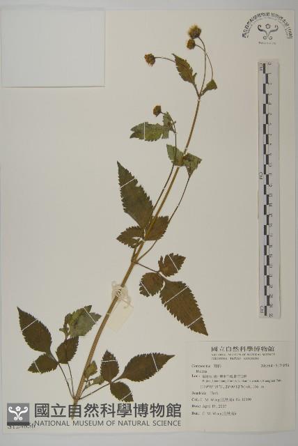 登錄號:S124856藏品圖，第1張