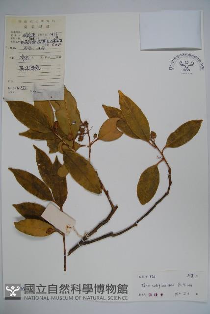 Accession Number:S042556 Collection Image, Figure 1, Total 2 Figures