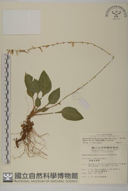 臺灣鬼督郵藏品圖，第1張