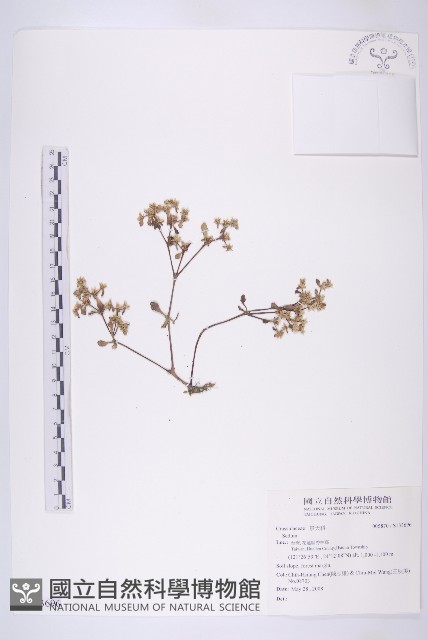 登錄號:S133696藏品圖，第1張