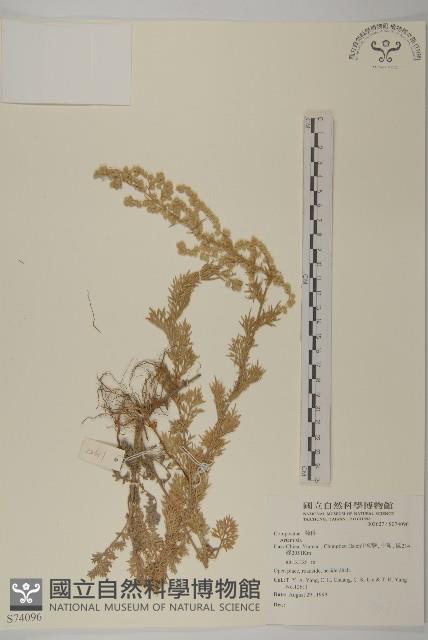 登錄號:S074096藏品圖，第1張