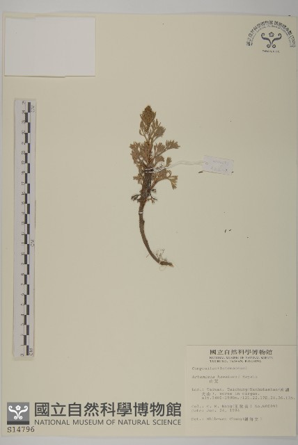 高山艾藏品圖，第1張
