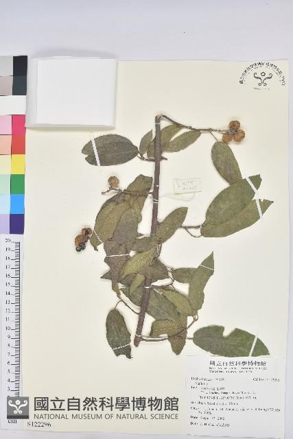 登錄號:S122296藏品圖，第1張