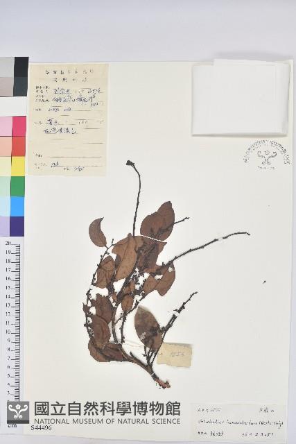 登錄號:S044496藏品圖，第1張