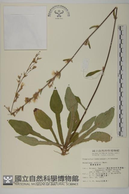 臺灣鬼督郵藏品圖，第1張