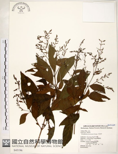 水金京藏品圖，第1張