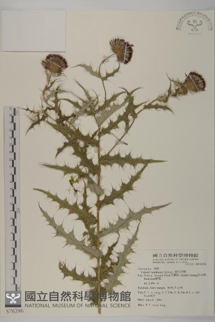 細川氏薊藏品圖，第1張