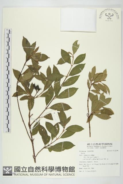 登錄號:S122396藏品圖，第1張