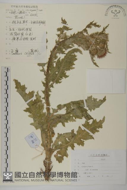 飛廉藏品圖，第1張