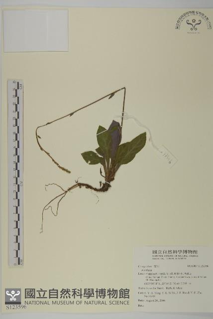 登錄號:S123596藏品圖，第1張