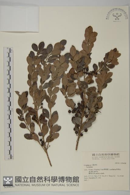 登錄號:S036636藏品圖，第1張