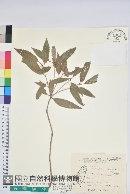 登錄號:S165636藏品圖，第1張