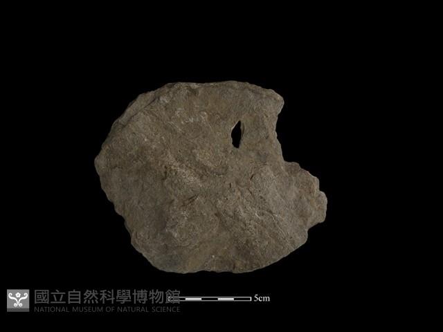 石片藏品圖，第2張