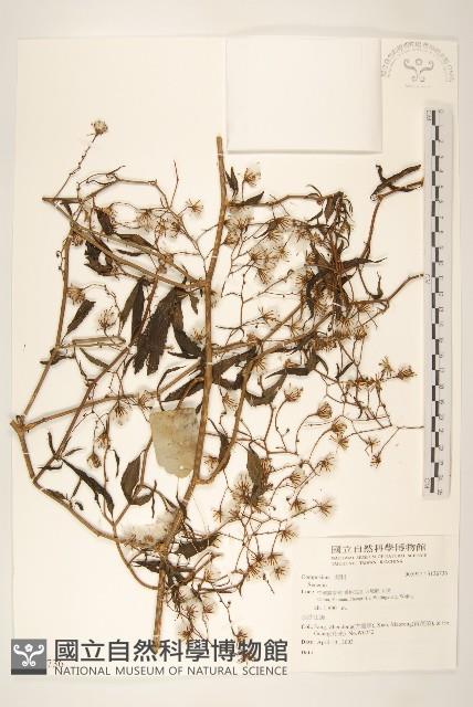 登錄號:S136736藏品圖，第1張