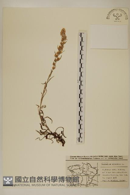 登錄號:S077736藏品圖，第1張