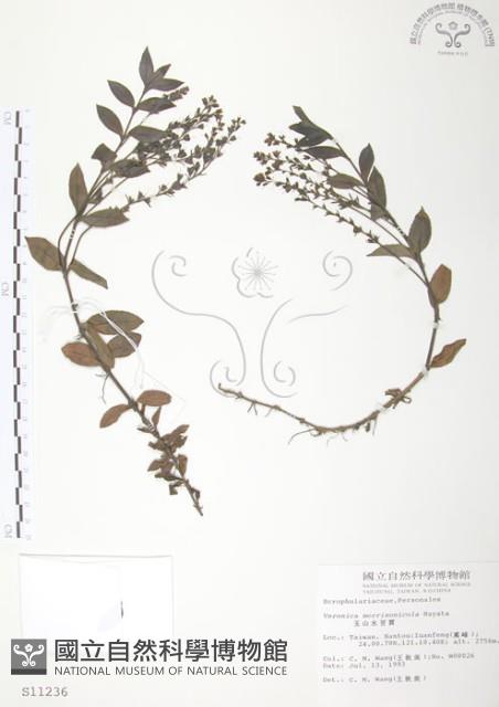 玉山水苦賈藏品圖，第1張