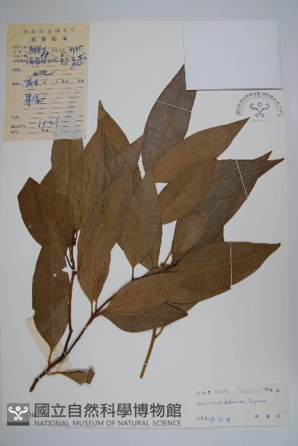 登錄號:S033236藏品圖，第1張