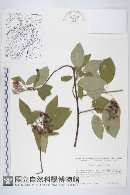 登錄號:S035136藏品圖，第1張