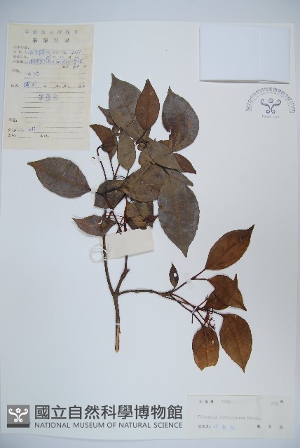 高山莢迷藏品圖，第1張